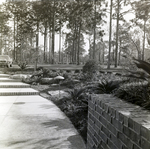 Carrollwood Village Golf and Tennis Club for Environmental Landscaping Systems, AJ by George Skip Gandy IV