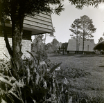 Carrollwood Village Golf and Tennis Club for Environmental Landscaping Systems, AL by George Skip Gandy IV