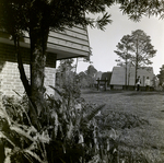 Carrollwood Village Golf and Tennis Club for Environmental Landscaping Systems, AM by George Skip Gandy IV