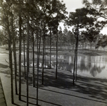 Carrollwood Village Golf and Tennis Club for Environmental Landscaping Systems, AN by George Skip Gandy IV