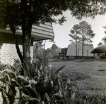 Carrollwood Village Golf and Tennis Club for Environmental Landscaping Systems, AO by George Skip Gandy IV
