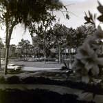 Carrollwood Village Clubhouse for Environmental Landscaping Systems, G by George Skip Gandy IV