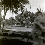 Carrollwood Village Clubhouse for Environmental Landscaping Systems, H by George Skip Gandy IV