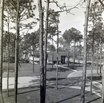 Carrollwood Village Golf and Tennis Club for Environmental Landscaping Systems, AU by George Skip Gandy IV