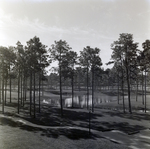 Carrollwood Village Golf and Tennis Club for Environmental Landscaping Systems, AT by George Skip Gandy IV