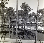 Carrollwood Village Golf and Tennis Club for Environmental Landscaping Systems, AU by George Skip Gandy IV
