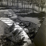 Carrollwood Village Golf and Tennis Club for Environmental Landscaping Systems, BA by George Skip Gandy IV