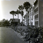 Carrollwood Village Golf and Tennis Club for Environmental Landscaping Systems, BB by George Skip Gandy IV