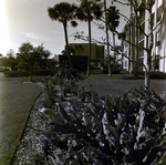 Carrollwood Village Golf and Tennis Club for Environmental Landscaping Systems, BD by George Skip Gandy IV