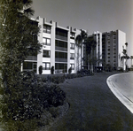 Carrollwood Village Golf and Tennis Club for Environmental Landscaping Systems, BF by George Skip Gandy IV