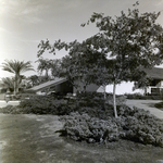 Carrollwood Village Golf and Tennis Club for Environmental Landscaping Systems, BK by George Skip Gandy IV