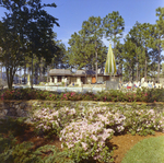 Carrollwood Village Clubhouse for Environmental Landscaping Systems, L by George Skip Gandy IV