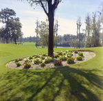 Carrollwood Village Golf and Tennis Club for Environmental Landscaping Systems, BL by George Skip Gandy IV