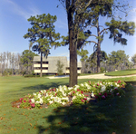 Carrollwood Village Golf and Tennis Club for Environmental Landscaping Systems, BN by George Skip Gandy IV