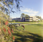 Carrollwood Village Golf and Tennis Club for Environmental Landscaping Systems, BO by George Skip Gandy IV