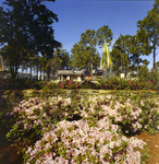 Carrollwood Village Clubhouse for Environmental Landscaping Systems, U by George Skip Gandy IV