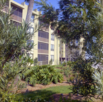 Carrollwood Village Golf and Tennis Club for Environmental Landscaping Systems, BS by George Skip Gandy IV