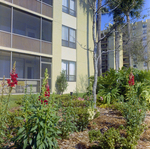 Carrollwood Village Golf and Tennis Club for Environmental Landscaping Systems, BU by George Skip Gandy IV