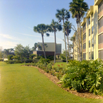 Carrollwood Village Golf and Tennis Club for Environmental Landscaping Systems, BX by George Skip Gandy IV