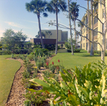 Carrollwood Village Golf and Tennis Club for Environmental Landscaping Systems, BY by George Skip Gandy IV