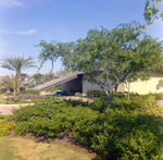 Carrollwood Village Golf and Tennis Club for Environmental Landscaping Systems, CA by George Skip Gandy IV