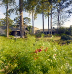 Carrollwood Village Home Lawn by Environmental Landscaping Systems, T by George Skip Gandy IV