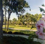 Carrollwood Village Clubhouse for Environmental Landscaping Systems, V by George Skip Gandy IV