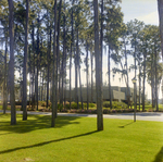 Carrollwood Village Golf and Tennis Club for Environmental Landscaping Systems, CJ by George Skip Gandy IV