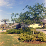 Carrollwood Village Golf and Tennis Club for Environmental Landscaping Systems, CL by George Skip Gandy IV