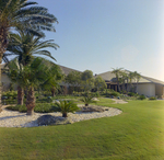 Carrollwood Village Golf and Tennis Club for Environmental Landscaping Systems, CO by George Skip Gandy IV