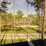 Carrollwood Village Golf and Tennis Club for Environmental Landscaping Systems, CX by George Skip Gandy IV