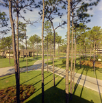 Carrollwood Village Golf and Tennis Club for Environmental Landscaping Systems, CY by George Skip Gandy IV