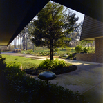 Carrollwood Village Golf and Tennis Club for Environmental Landscaping Systems, DA by George Skip Gandy IV