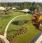 Aerial View of Carrollwood Village Golf and Tennis Club, AB by George Skip Gandy IV