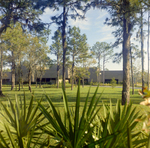 Carrollwood Village Golf and Tennis Club for Environmental Landscaping Systems, DC by George Skip Gandy IV