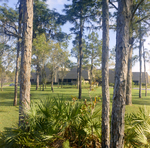 Carrollwood Village Golf and Tennis Club for Environmental Landscaping Systems, DD by George Skip Gandy IV