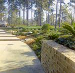 Carrollwood Village Golf and Tennis Club for Environmental Landscaping Systems, DF by George Skip Gandy IV