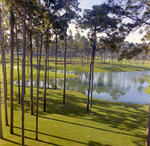 Carrollwood Village Golf and Tennis Club for Environmental Landscaping Systems, DI by George Skip Gandy IV