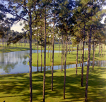 Carrollwood Village Golf and Tennis Club for Environmental Landscaping Systems, DJ by George Skip Gandy IV