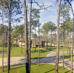 Carrollwood Village Golf and Tennis Club for Environmental Landscaping Systems, DL by George Skip Gandy IV