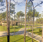 Carrollwood Village Golf and Tennis Club for Environmental Landscaping Systems, DM by George Skip Gandy IV