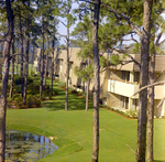 Aerial View of Carrollwood Village Golf and Tennis Club, AC by George Skip Gandy IV