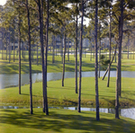 Aerial View of Carrollwood Village Golf and Tennis Club, AD by George Skip Gandy IV