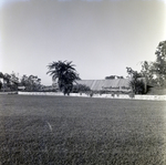 Entrance to Carrollwood Village Community for Environmental Landscaping Systems, L by George Skip Gandy IV