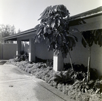 Carrollwood Village Clubhouse for Environmental Landscaping Systems, C by George Skip Gandy IV