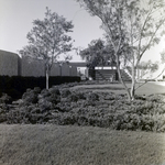 Carrollwood Village Community Pool for Environmental Landscaping Systems, F by George Skip Gandy IV