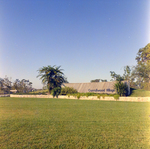 Entrance to Carrollwood Village Community for Environmental Landscaping Systems, Z by George Skip Gandy IV