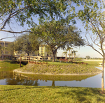 Bench and Footbridge by Pond in Carrollwood Village, D by George Skip Gandy IV