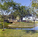 Bench and Footbridge by Pond in Carrollwood Village, E by George Skip Gandy IV