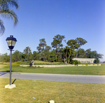 Entrance to Carrollwood Village Community for Environmental Landscaping Systems, AG by George Skip Gandy IV